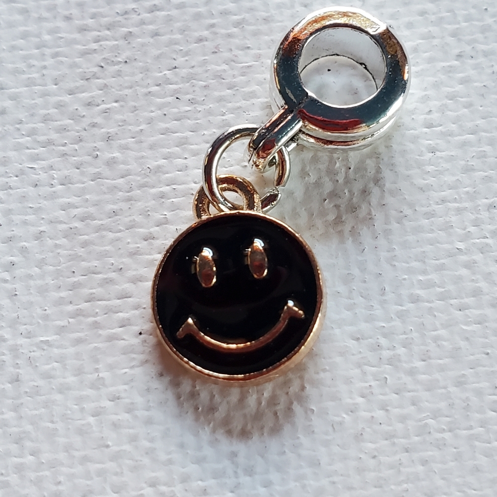 Charm. Silver and gold tone. NWOT.  Fits in Pandora snake chain Bracelet.